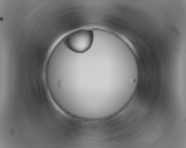 X0000114191484200910091018