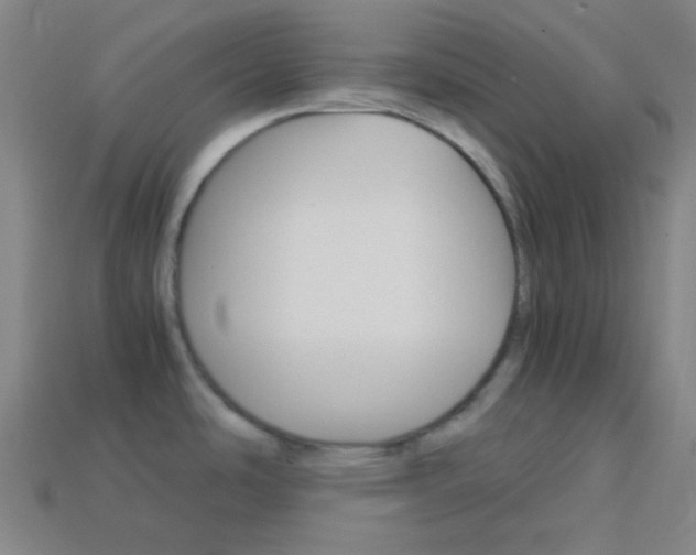 X0000114191486200910091018