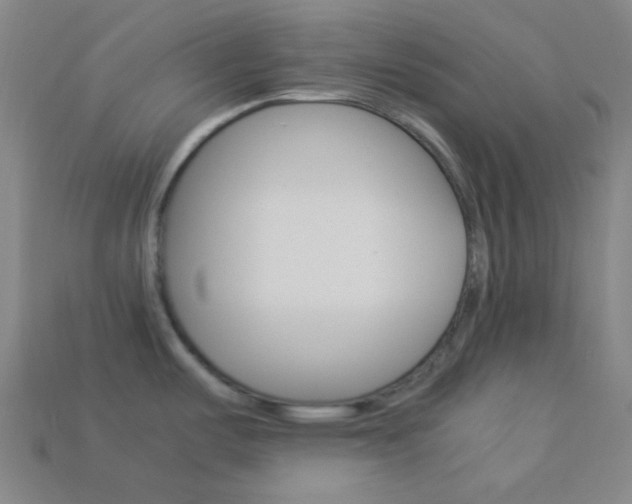 X0000114191487200910091018