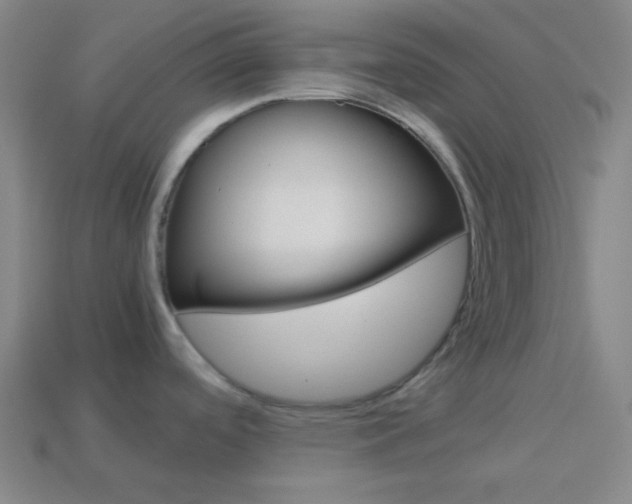 X0000114191488200910091018