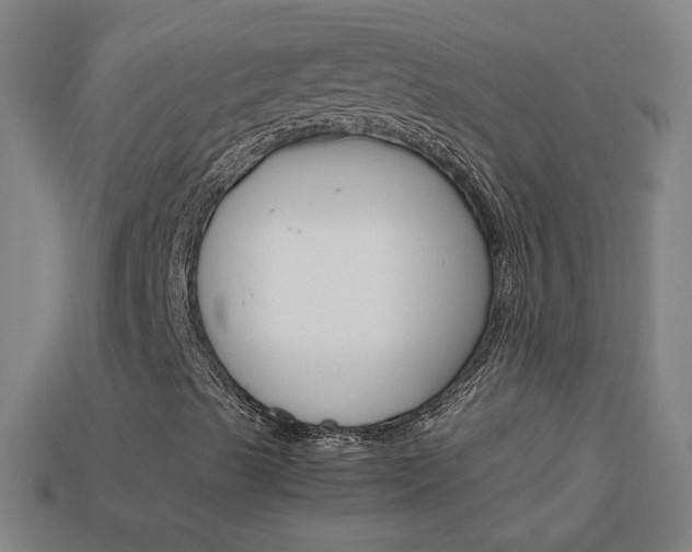 X0000114191489200910091017