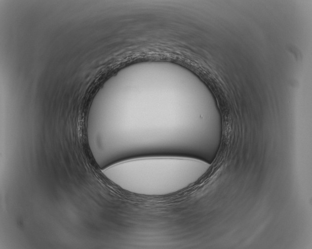 X0000114191490200910091017