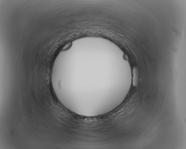 X0000114191491200910091017