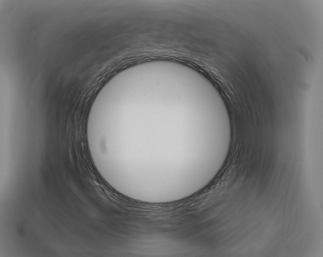 X0000114191492200910091017