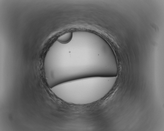X0000114191494200910091017