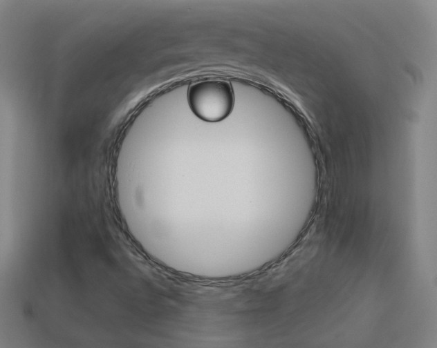 X0000114191496200910091017