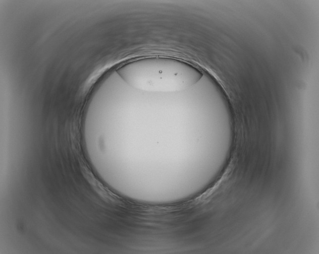 X0000114191499200910091017