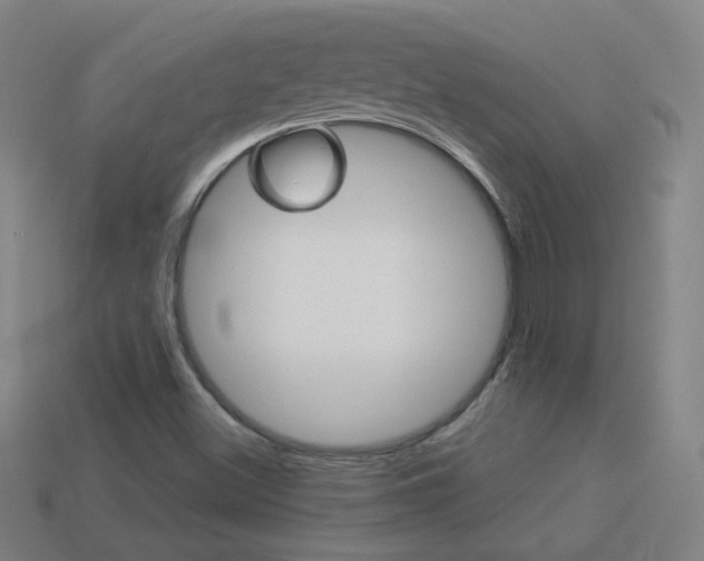 X0000114191500200910091017