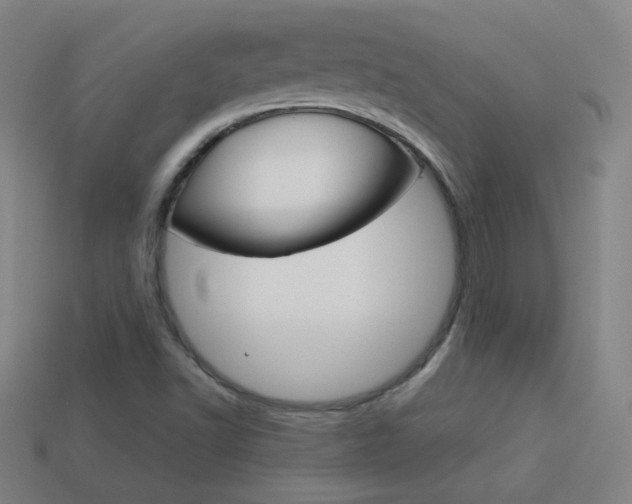 X0000114191502200910091017