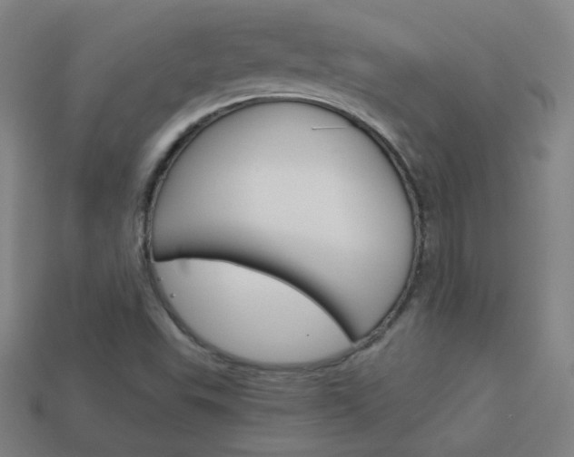 X0000114191503200910091017