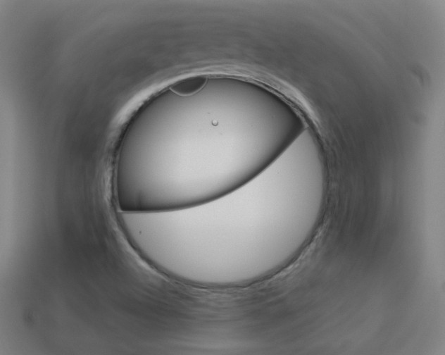 X0000114191504200910091017