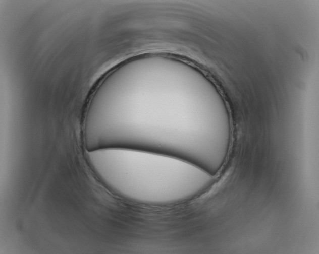 X0000114191505200910091017