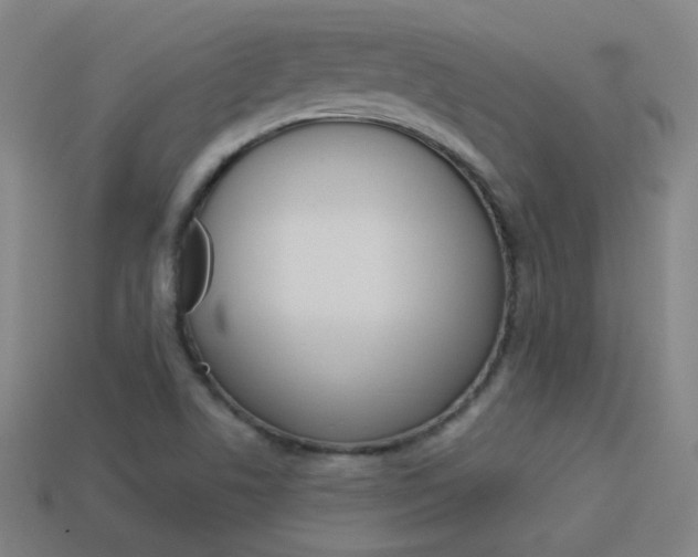 X0000114191506200910091017