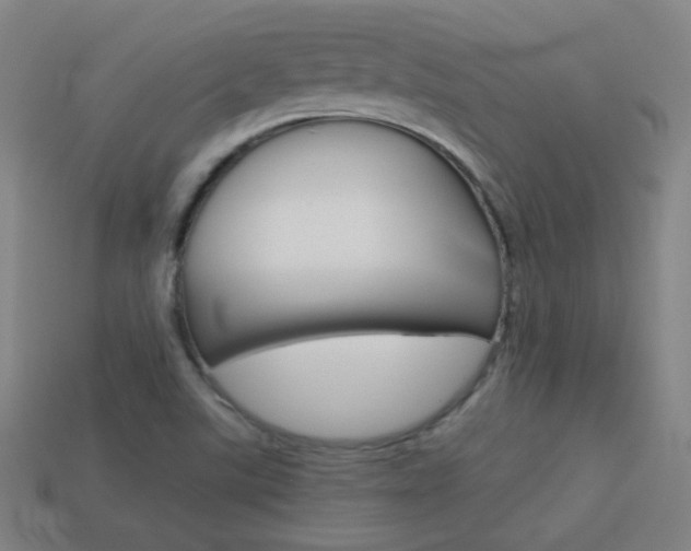 X0000114191507200910091017