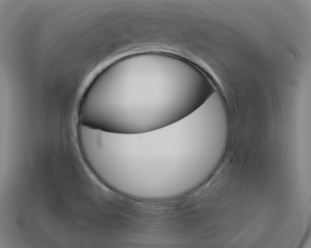 X0000114191508200910091017