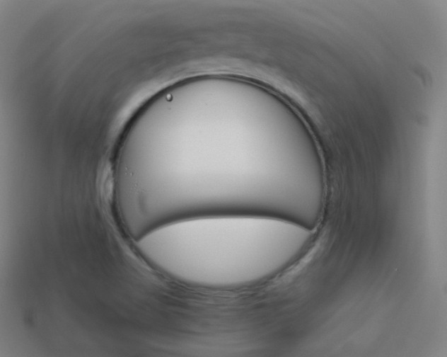 X0000114191509200910091017