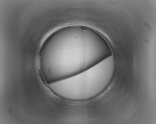 X0000114191510200910091017
