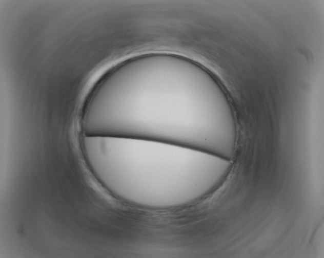 X0000114191511200910091017