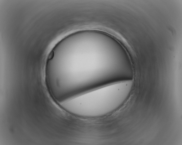X0000114191512200910091017