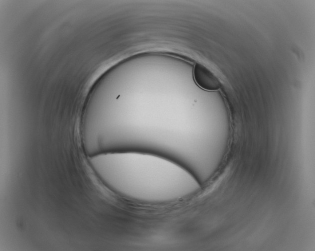 X0000114191513200910091017