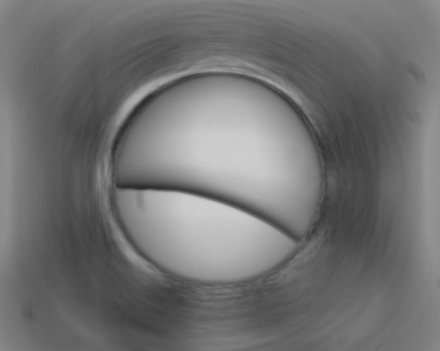 X0000114191515200910091017