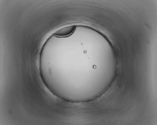 X0000114191516200910091017