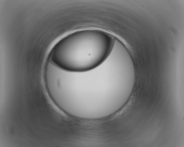 X0000114191518200910091017