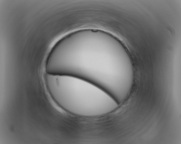 X0000114191519200910091017
