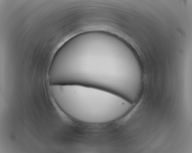 X0000114191521200910091017