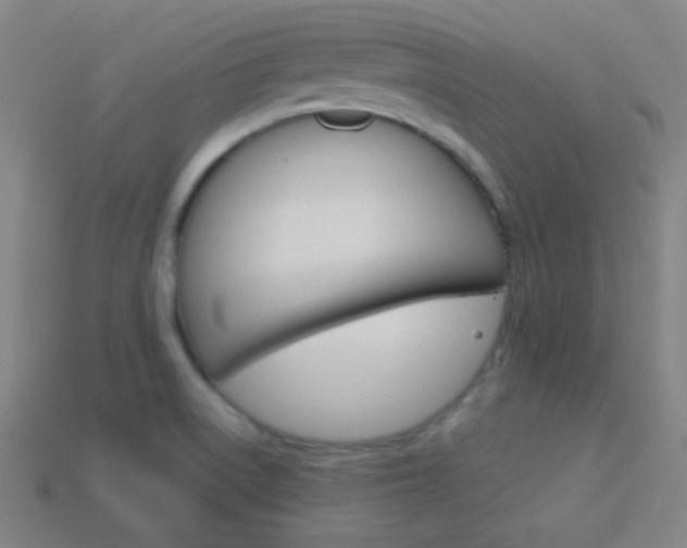 X0000114191522200910091017