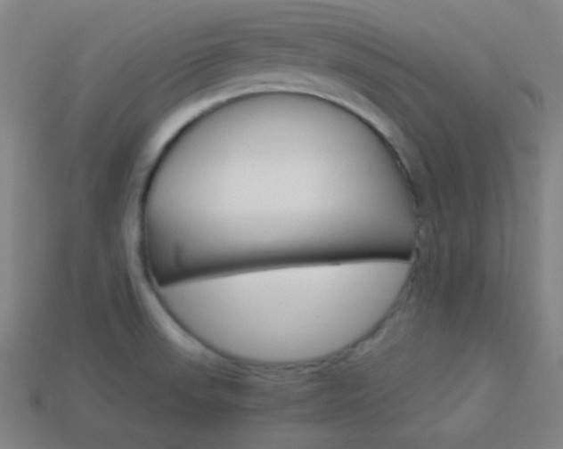 X0000114191523200910091017