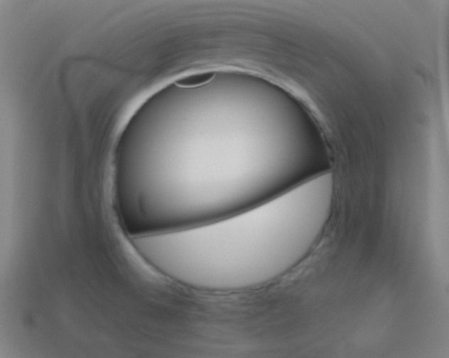 X0000114191524200910091017