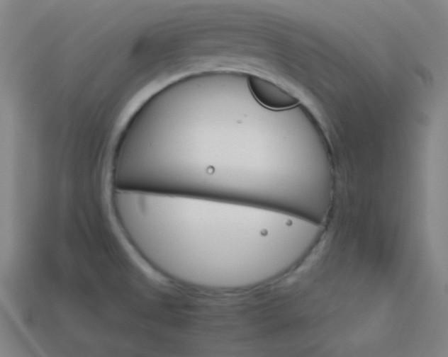 X0000114191525200910091017