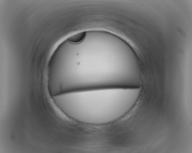 X0000114191526200910091017