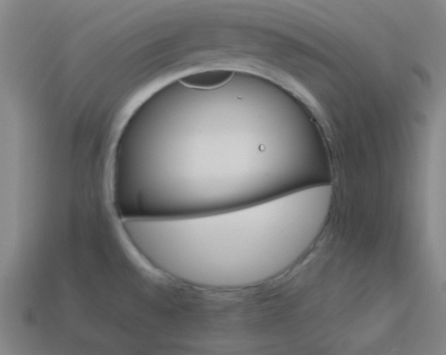 X0000114191528200910091017