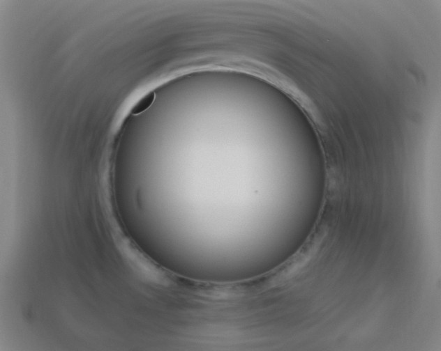 X0000114191530200910091017