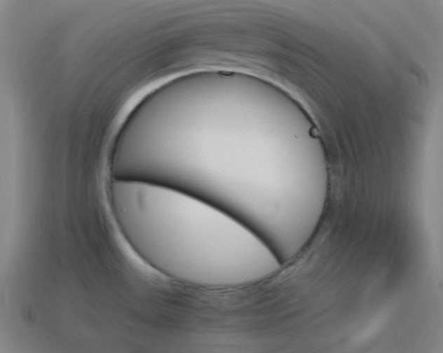 X0000114191531200910091018