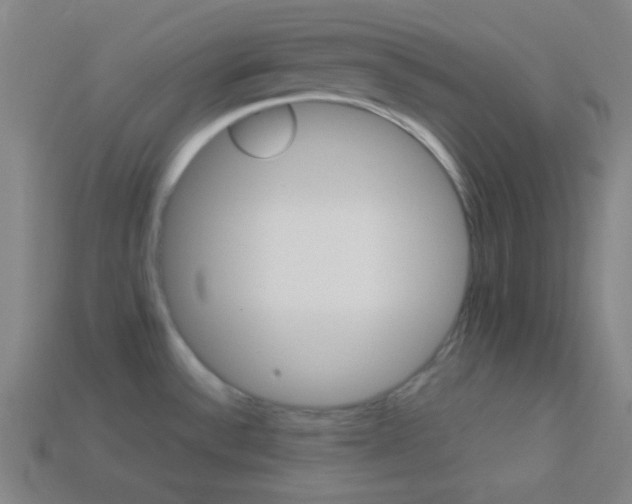 X0000114191532200910091018