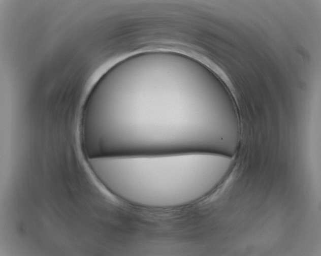 X0000114191533200910091018