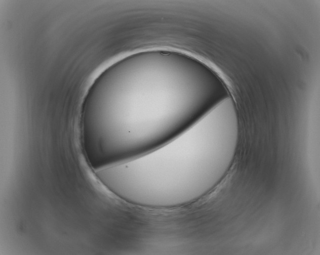 X0000114191534200910091018