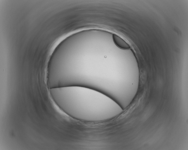 X0000114191535200910091018