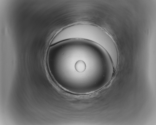 X0000114190001200910091242