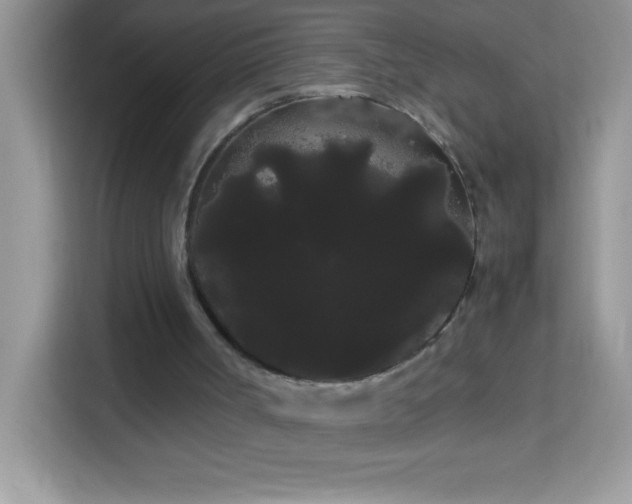 X0000114190002200910091242