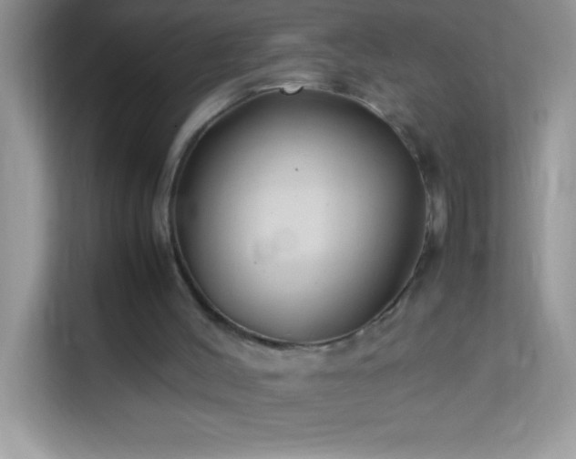 X0000114190004200910091242
