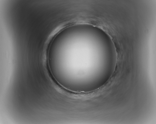 X0000114190005200910091242