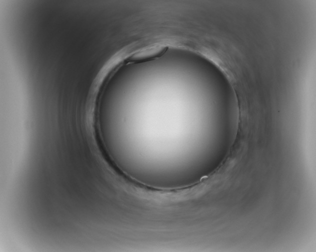 X0000114190007200910091242