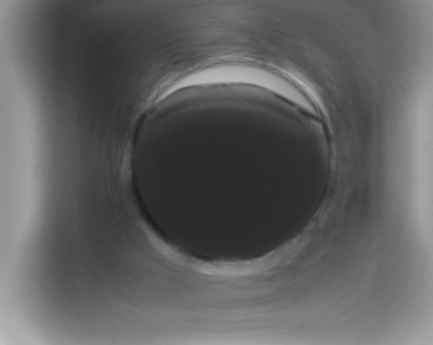 X0000114190009200910091242