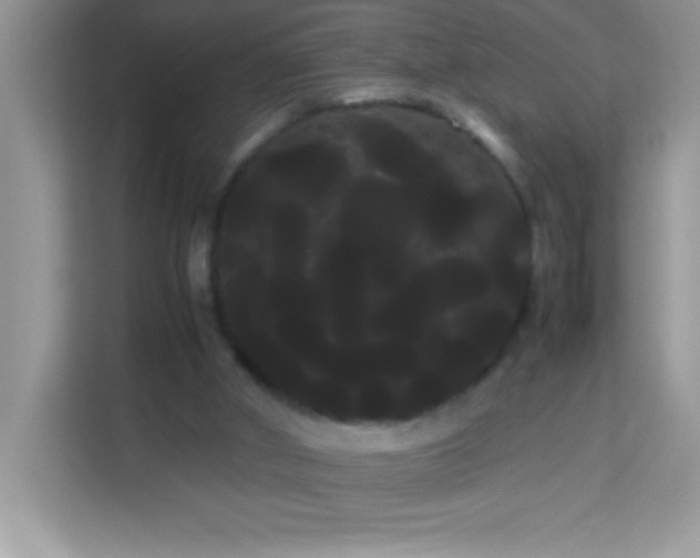 X0000114190010200910091242