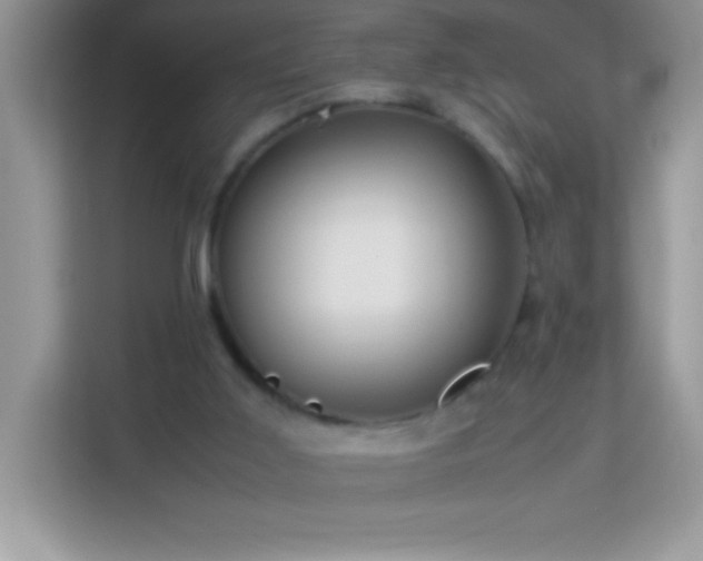 X0000114190011200910091242