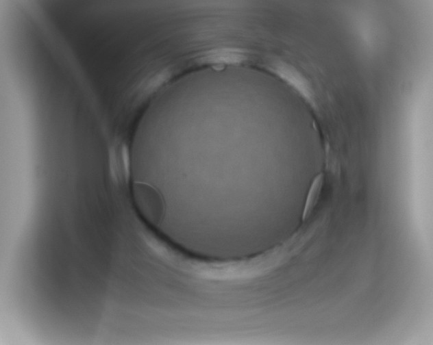 X0000114190013200910091241